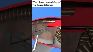 How a cat works (Original) #memes