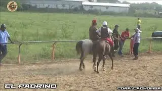 La Panuncia Cuadra La Lupe pasando a la final carriles 3 hermanos capoacan 18/10/25