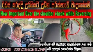 මේ විදියට නැතුව කවදාවත් රිවස් කරන්න එපා!|කාර් එකේ මාරක Blind Spot| NEVER Reverse Without Doing This!