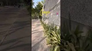 Nirma University #nirma#nirmauniversity#ahemdabad #ITNU#technology#college#campus#campustour