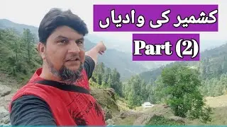 beauty of kashmir mountains and forests کشمیر کے پہاڑوں اور جنگلوں کی خوبصورتی