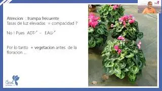 MOREL WEBINAR 2021 - El ajuste de la luz una veradera trampa