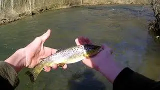 Euro Nymphing Spring Creek March 2021 (State College, PA)