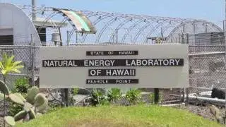 Island Farmer Spotlight: Cyanotech