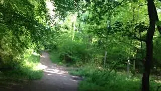 Leigh Woods