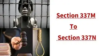 Section 337M Section 337N of PPC 1860 |#Hurt #Qisas #wali