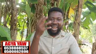 SIMPLE Remedy To Cure Prostate cancer And Make Manhood Big and last long 