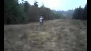 BUMFIGHT