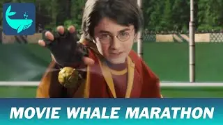 Harry Potter and the Sorcerer's Stone: Movie Whale Marathon