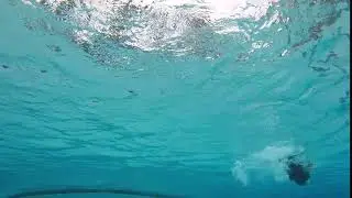 swim Trim