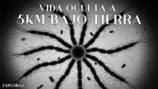 Cient&iacute;ficos Han Descubierto Una Segunda Biosfera Bajo la Tierra