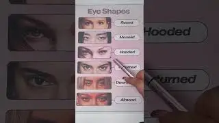Eye shapes knowledge✨ #EyeShapesGuide #EyeShapeMakeup #MakeupForAllEyes #BeautyEducation