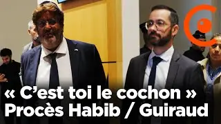 « C’est toi le cochon » : procès de Meyer Habib contre David Guiraud (LFI) pour insulte antisémite