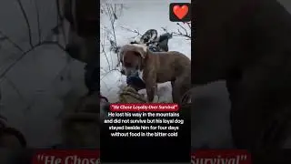A young man set out on a quiet journey through the mountains. #highlights #shorts #viral #trending