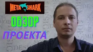 MetaShark ОБЗОР ПРОЕКТА