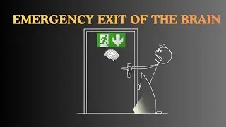 Where is the emergency exit of your brain?