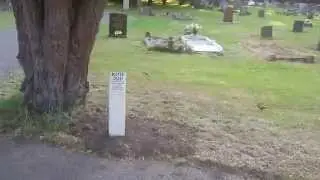 Friends of Newark Cemetery Have Put 7 Row Posts - Number Markers Down The Main Drive