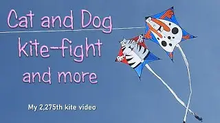 Cat and Dog kite-fight in fun fly