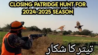 Partridge hunt in Pakistan | In Chakwal | by Aqib khan hunter