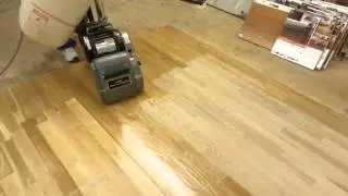 Floor sander
