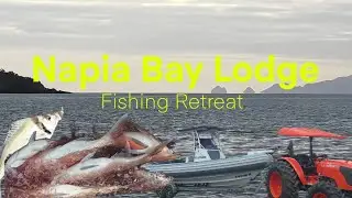 Snapper Fishing, Middle Ground Bay of Islands [EPS5] Summer Fishing NZ