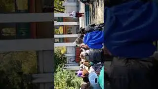 ASL Translator with skills at the Renaissance Festival