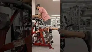 Standing Single Leg Hamstring Curl Machine