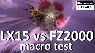 Panasonic Lumix FZ2000 vs. LX15 - macro test footage