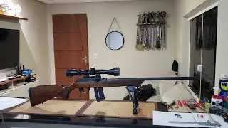 polimento de gatilho 22magnum
