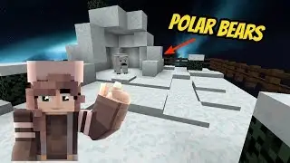 Making a Polar Bear Island! - Skycade Skyblock