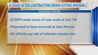 SC patient dies after contracting brain-eating amoeba