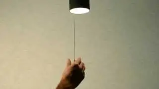 Bellamp