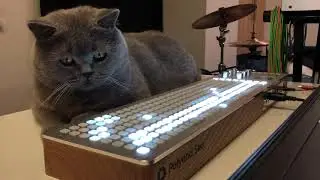 Polyend Seq firmware update v2.0