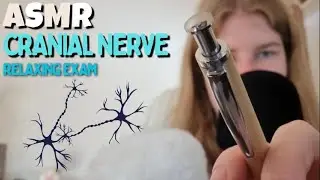ASMR Cranial Nerve Exam 🩺 Vision, Hearing & Touch Test for Sleep & Tingles (22 Min)