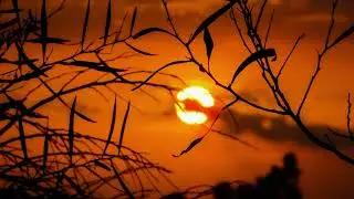 Murcielo - Mourning Sun