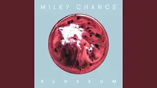 Blossom