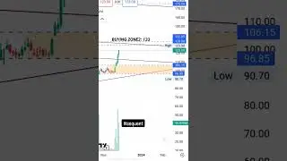 Sequent Scientific Stock Analysis | India&rsquo;s Largest Pure-play Animal Health Company