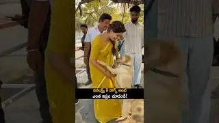 వరలక్ష్మి శరత్కుమార్ కి కుక్కలు అంటే ఎంత ఇష్టం చూడండి #varalaxmisarathkumar cute visuals with dog