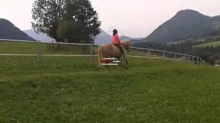 skjanni das traumpferd :)
