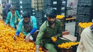 How to polish Orange|🍊 and Orange Polish factory In Sargodha| orange Grading Machine method