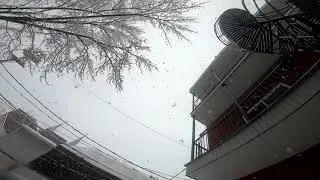 2021 snow mtl