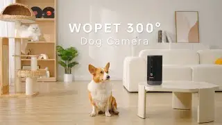 WOpet Newest Dog Treat Camera - Check on Your Pet Anytime, Anywhere