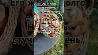 #короткиестихи #стихи #лето #осень
