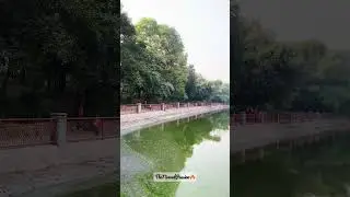 Old Fort Lake 😍😍 Purana Qila #shorts #viral #youtubeshorts #lake #puranaqila #thenirmalpassion