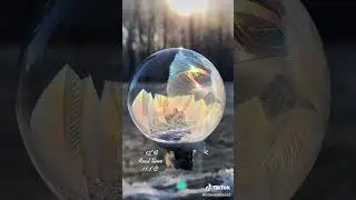 Have you ever seen a bubble freeze?  I can't believe I never saw this growing up. #winter