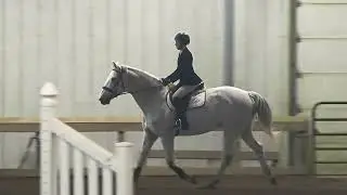 Emma Kaminski IEA Varsity Open Under Saddle, 1st place on Cora 12/28/2025