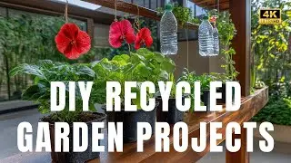 🧺 DIY Recycled Garden Projects | Affordable Outdoor Decor Ideas