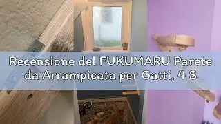 Recensione del FUKUMARU Parete da Arrampicata per Gatti, 4 Scale e Gradini da Parete per Gatti, Scal