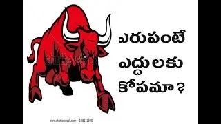 Why Do Bulls Charge When they See Red?