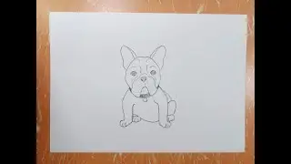 How to draw easy french bulldog || A Simple drawing for kids